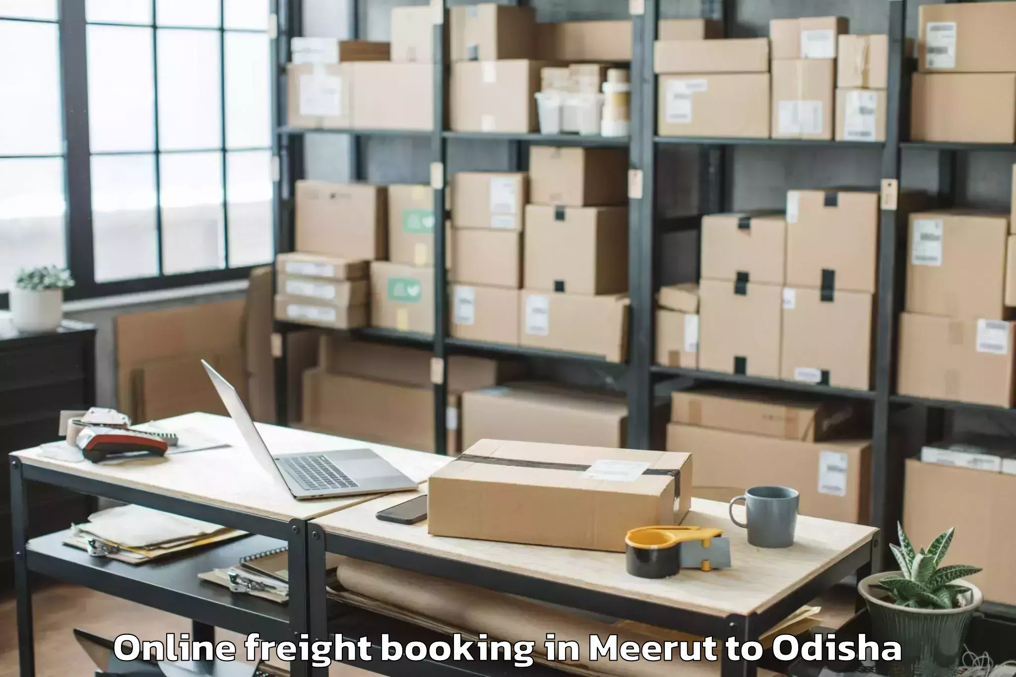 Expert Meerut to Bampada Online Freight Booking